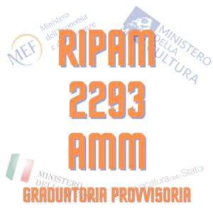 RIPAM 2293 AMM _gra