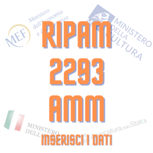 RIPAM 2293 AMM _ins
