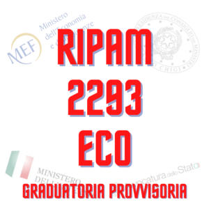 RIPAM 2293 ECO _gra